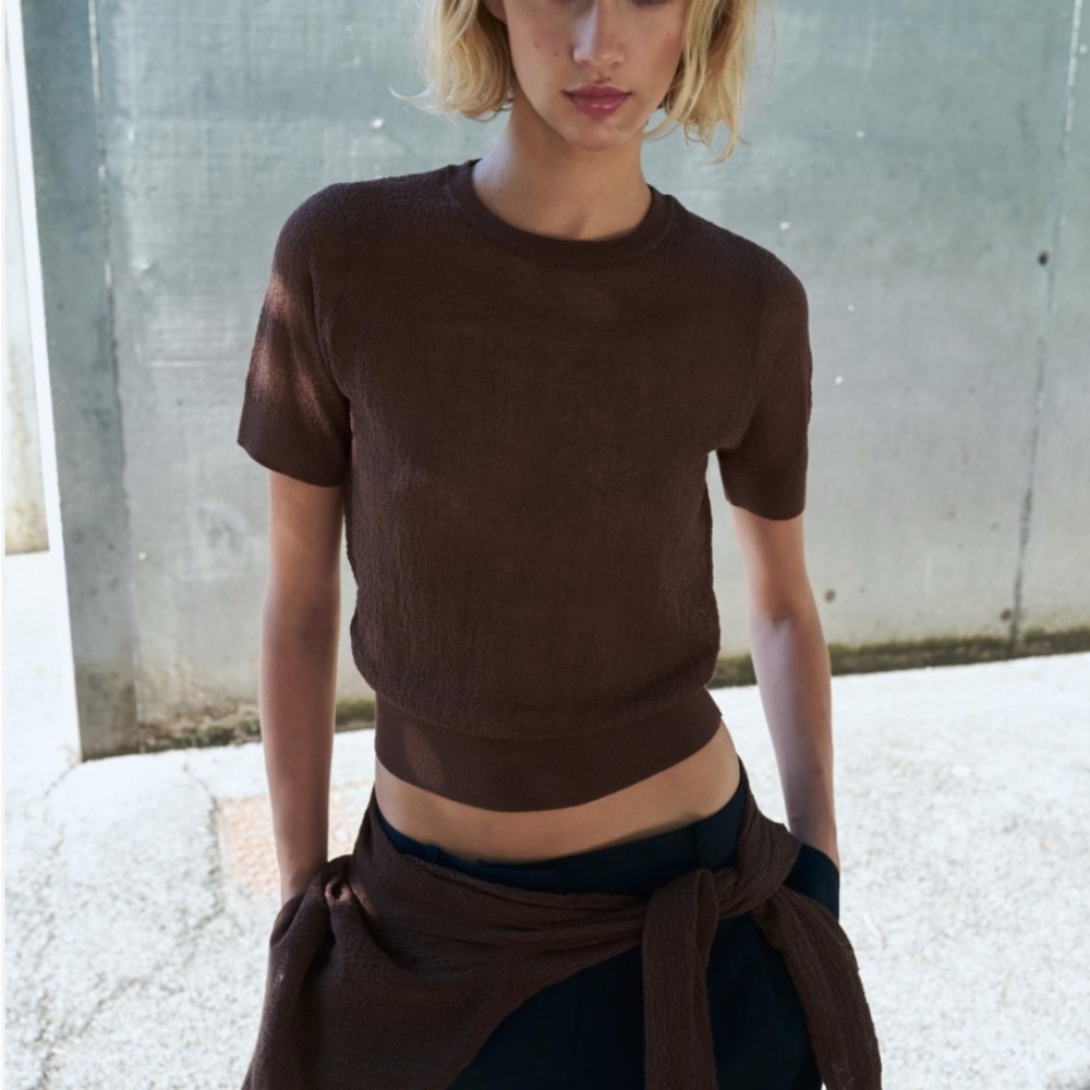 Zara Brown Short Sleeve Knit Top